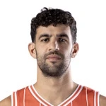 Tomer Ginat