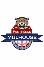 PANTHERES MULHOUSE BASKET ALSACE