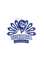 BASKET BALL LIVRY GARGAN
